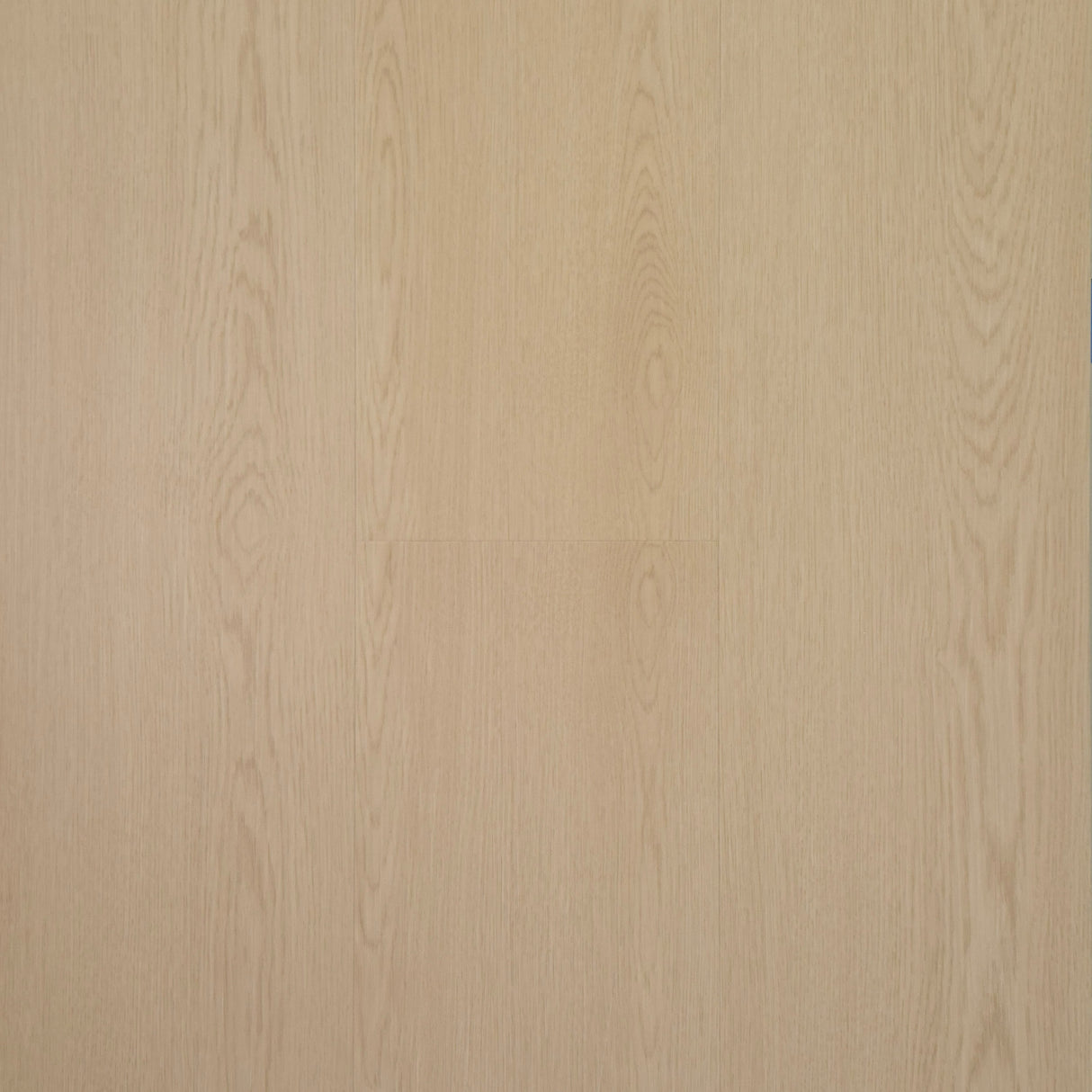 CREAM OAK HYBRID - HIF23260N