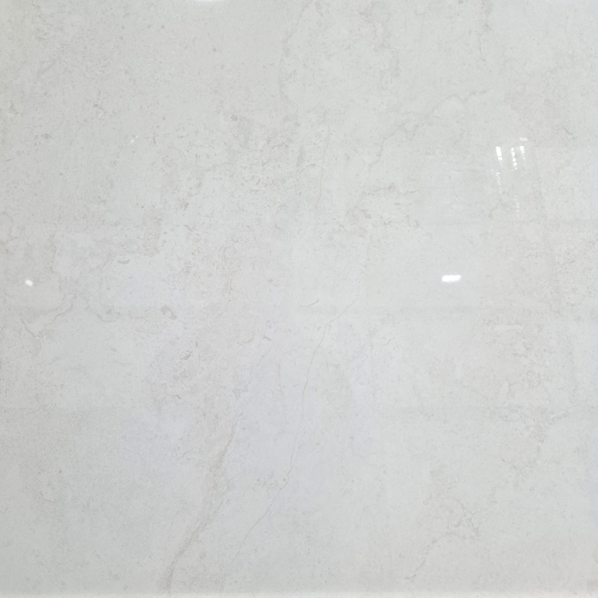 DORSET SILK GLOSS 600x600