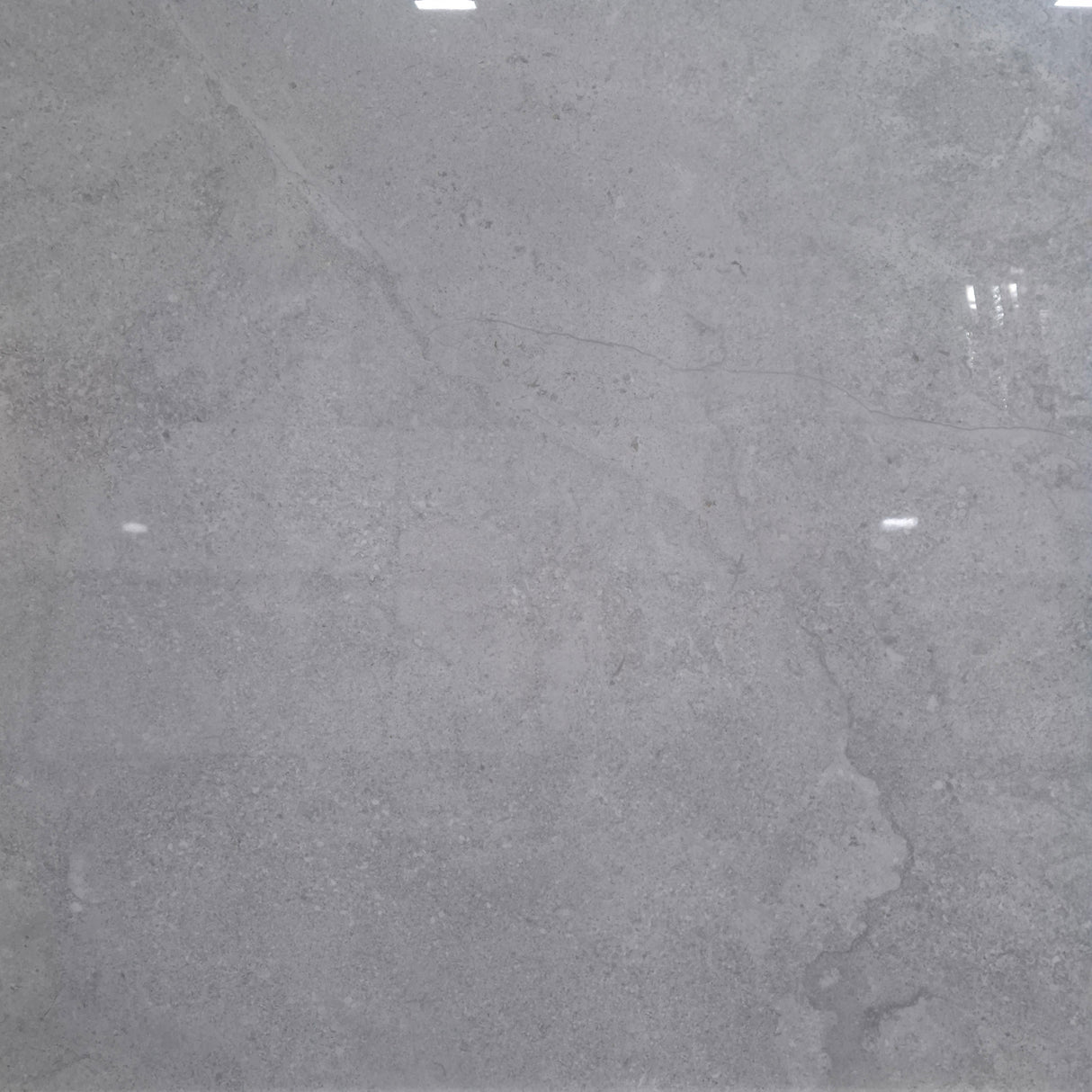 DORSET SMOKE GLOSS 600x600