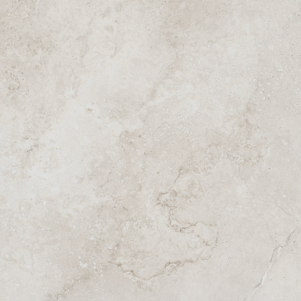 FOSSIL IVORY 600x600
