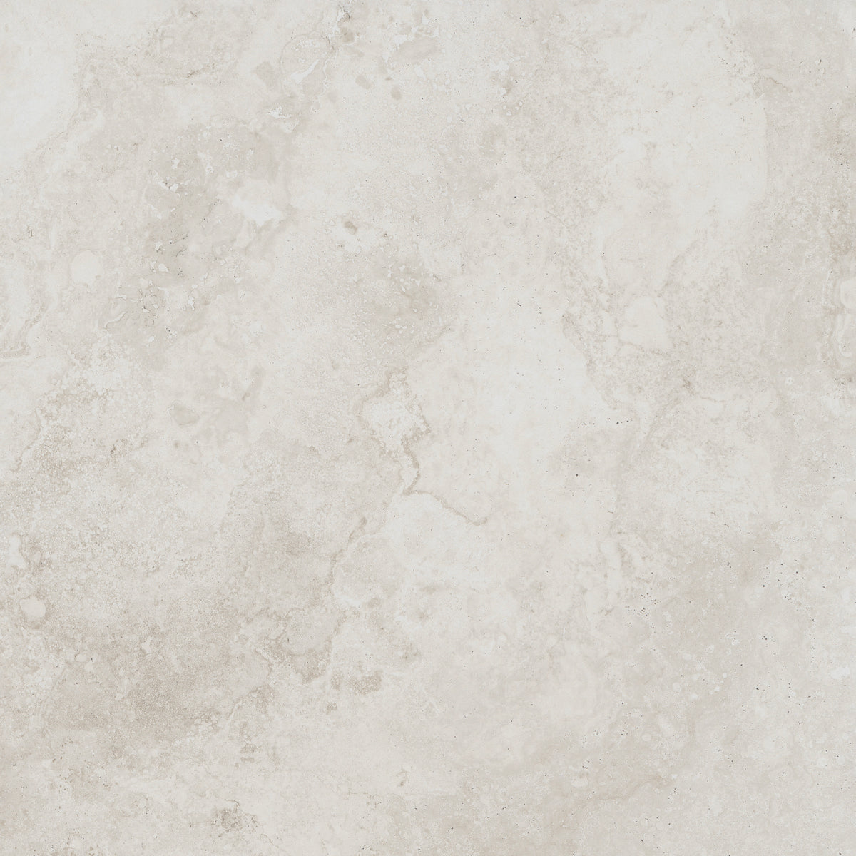 FOSSIL IVORY 600x600