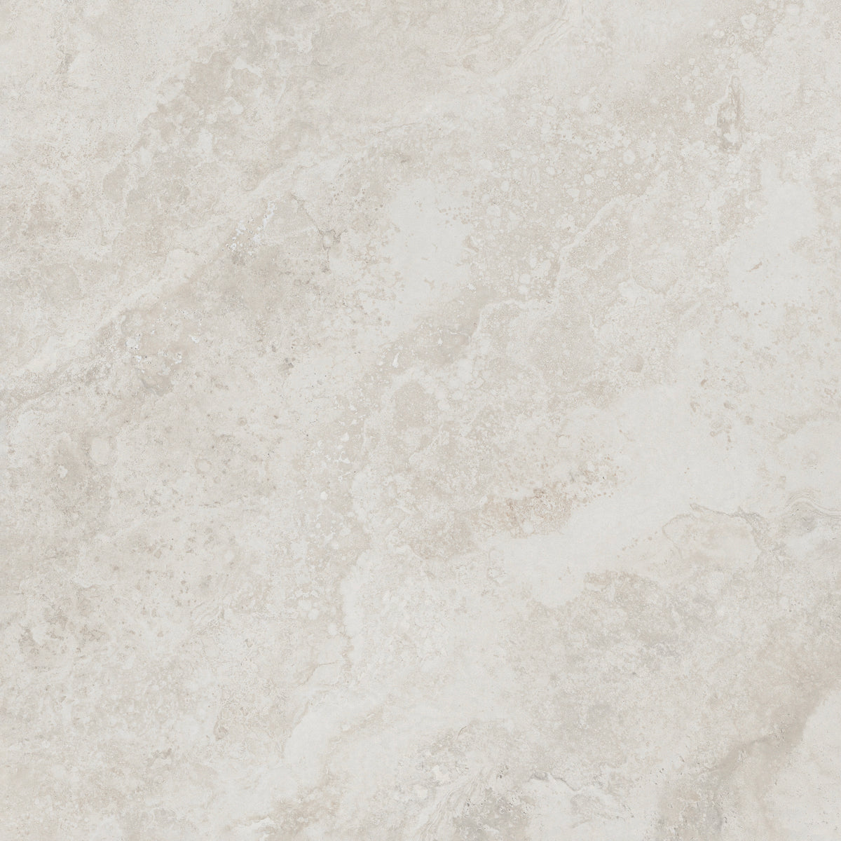 FOSSIL IVORY 600x600