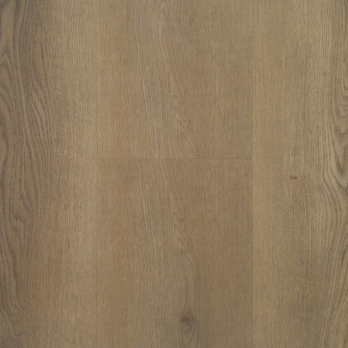 TAUPE HYBRID - TP68681