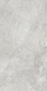 ARTIC GRIS GLOSS 900X1800