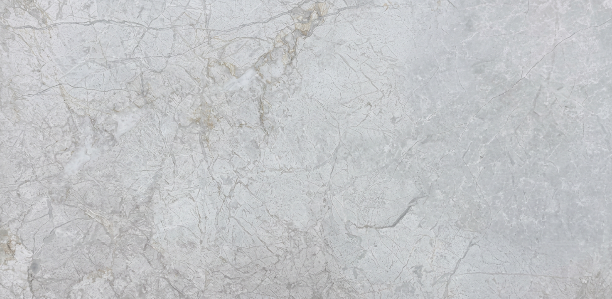 BD36P036G GLOSS 300x600