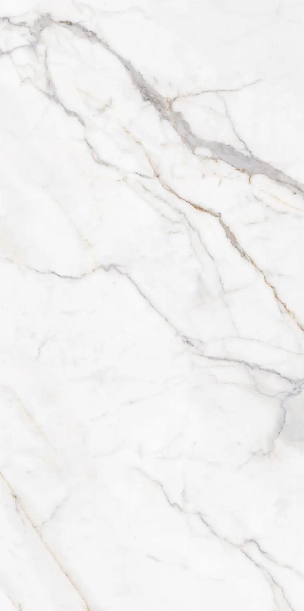 WHITE JADE GLOSS 750x1500