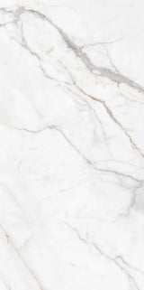 WHITE JADE GLOSS 750x1500