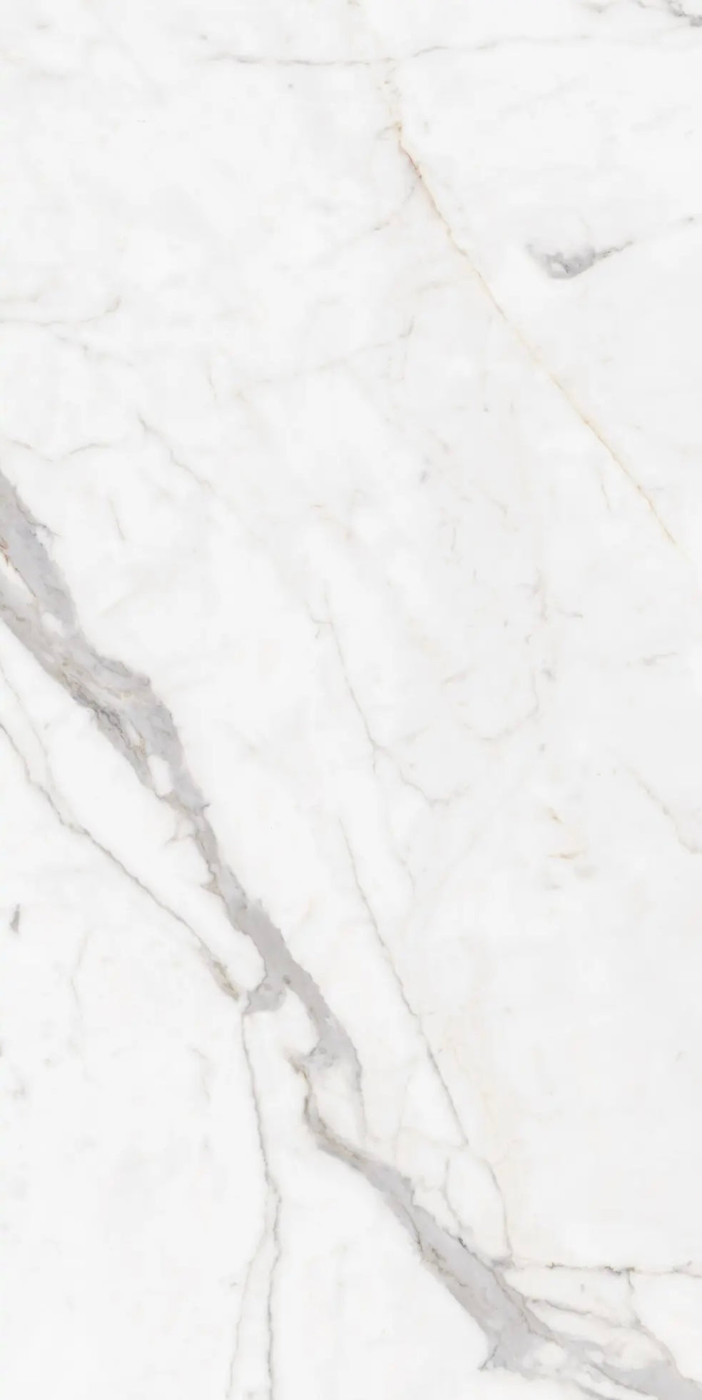 WHITE JADE GLOSS 750x1500