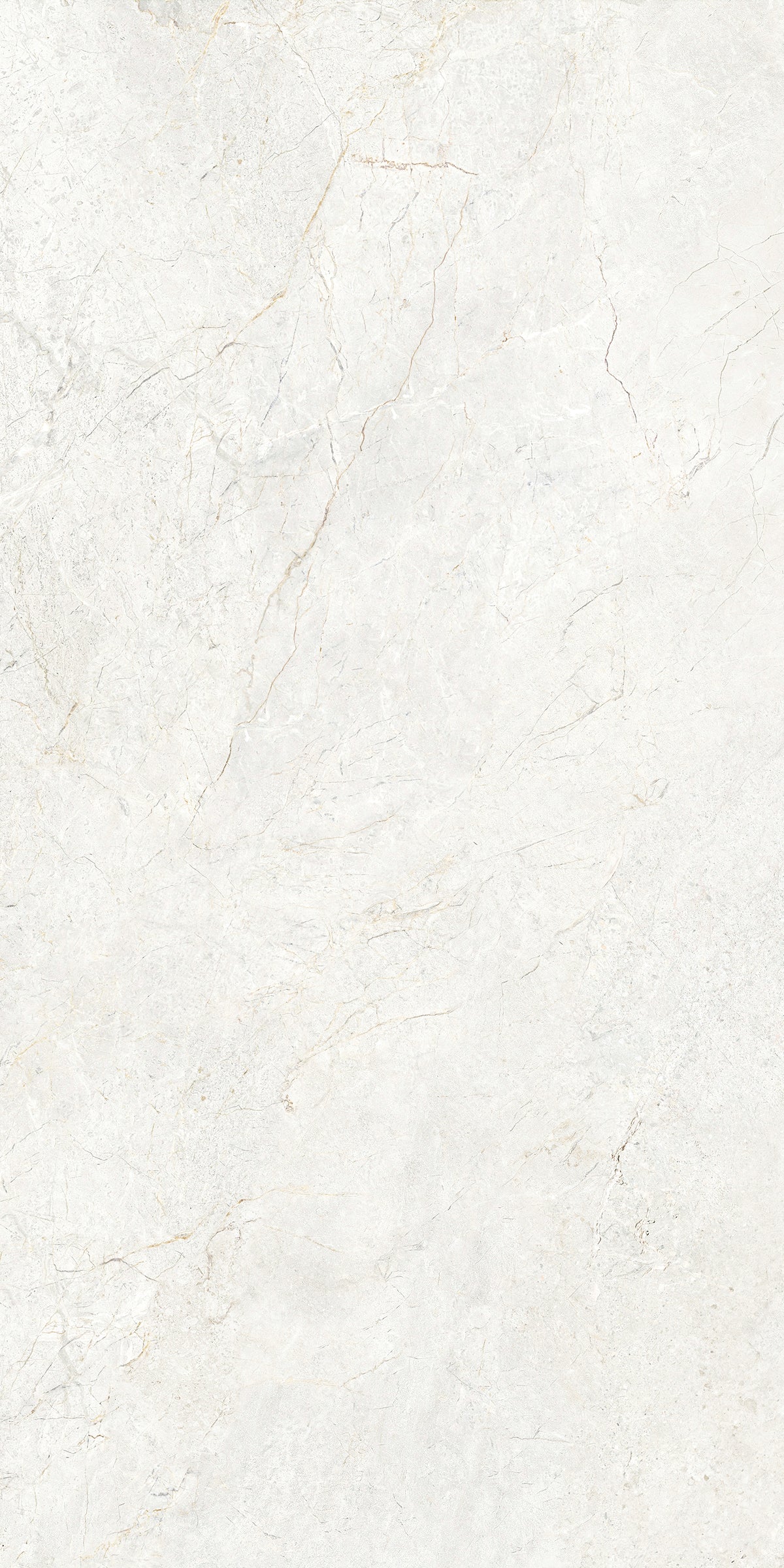 CHABLIS 600x1200