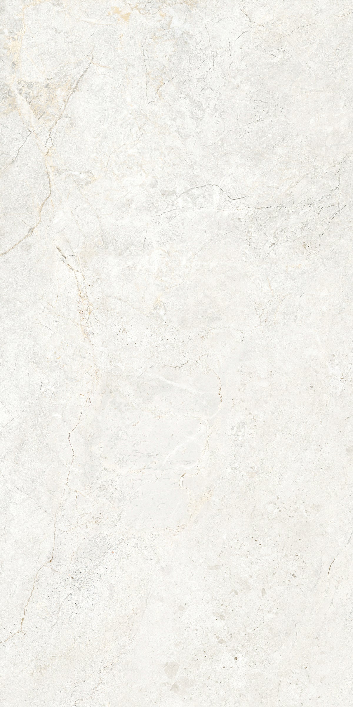 CHABLIS 600x1200