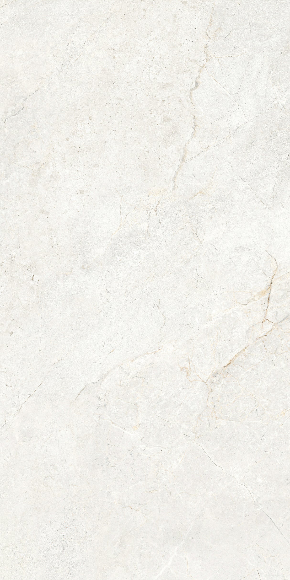CHABLIS 600x1200