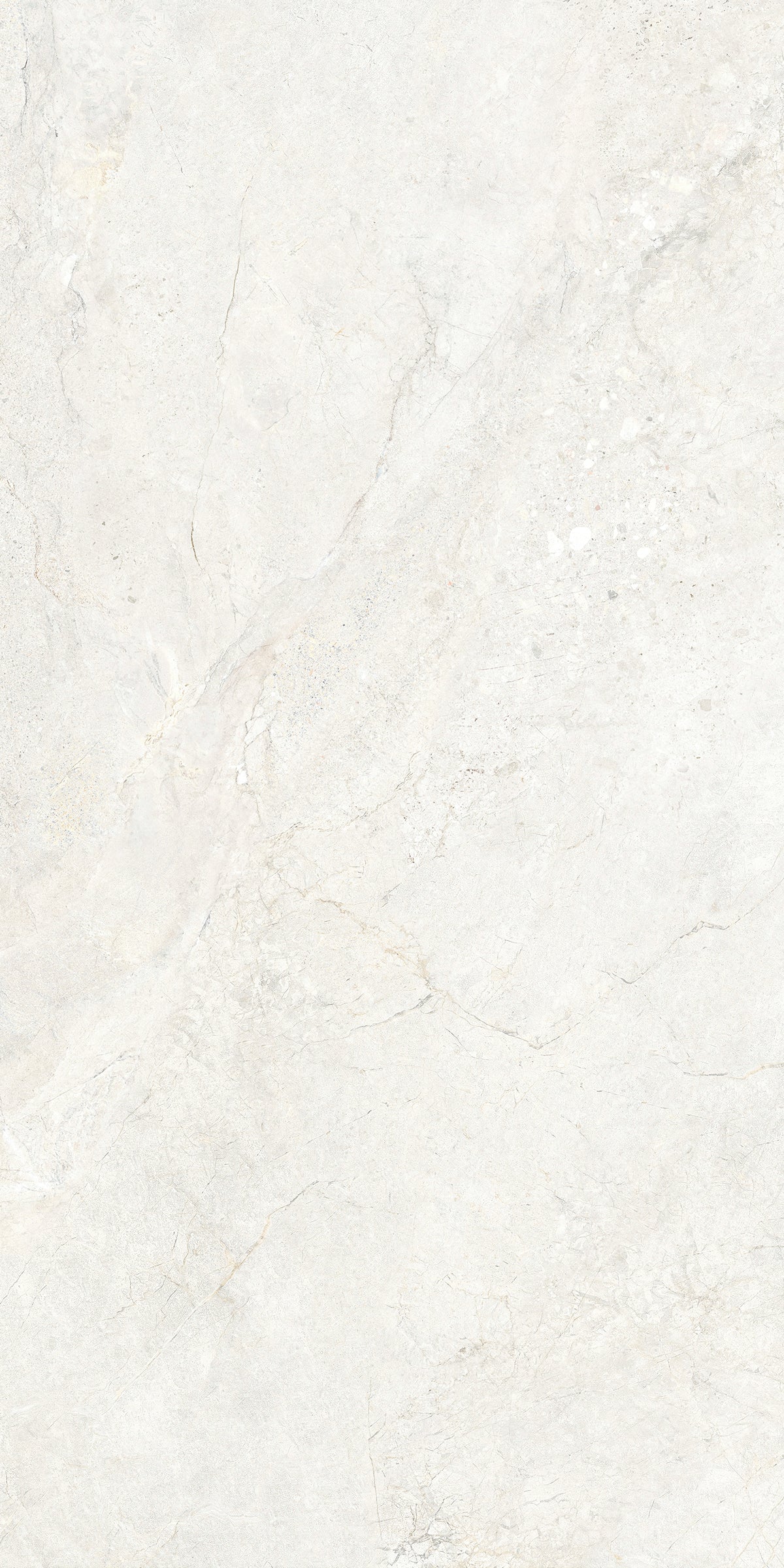 CHABLIS 600x1200