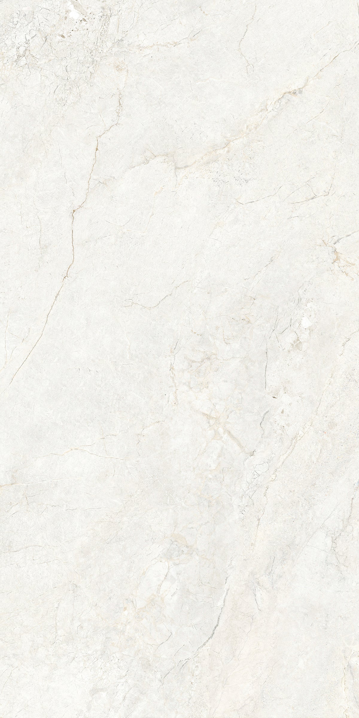 CHABLIS 600x1200