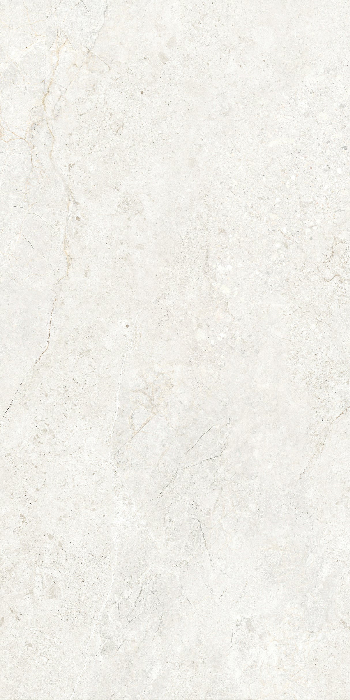 CHABLIS 600x1200