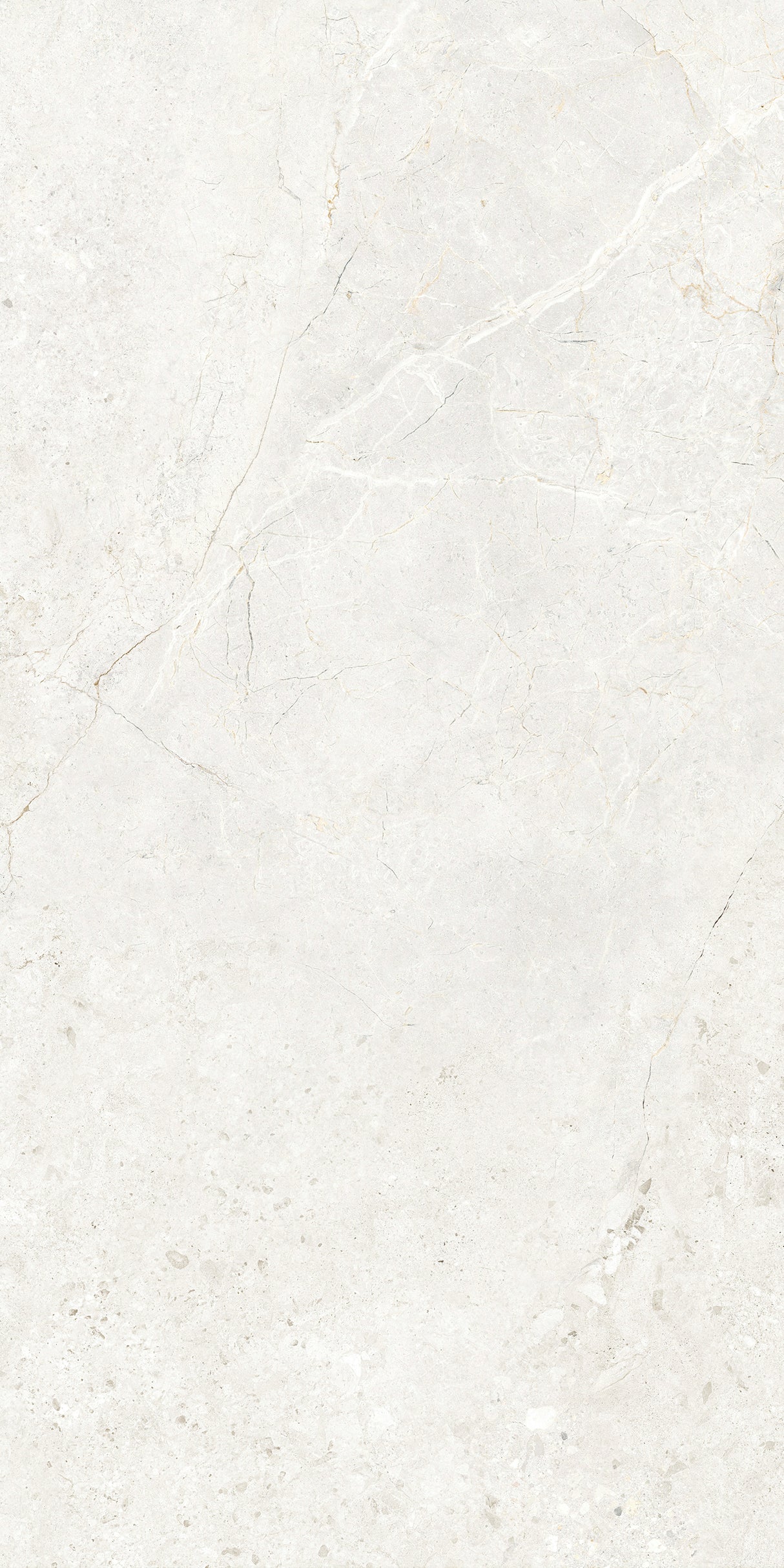 CHABLIS 600x1200