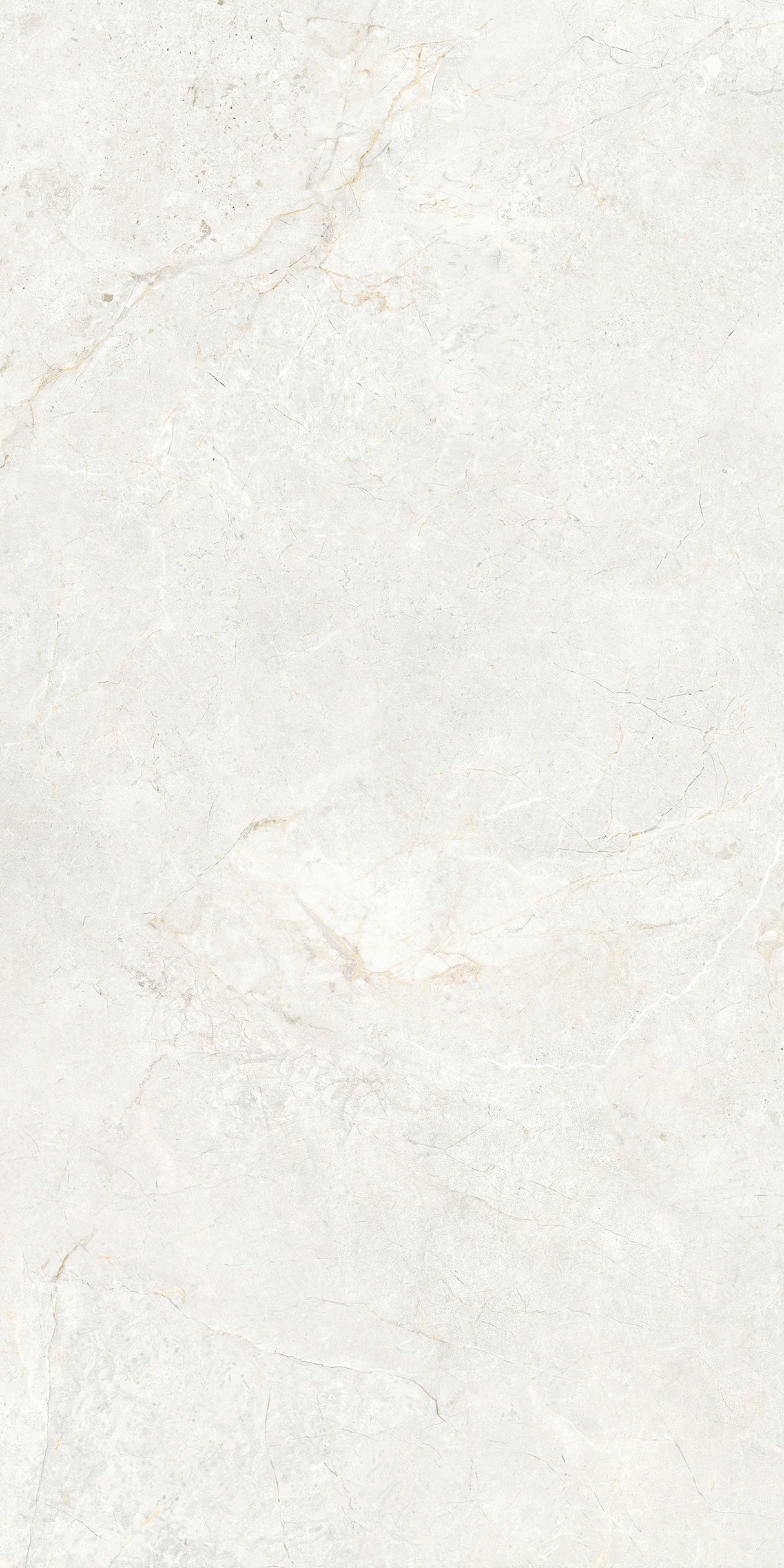 CHABLIS 600x1200