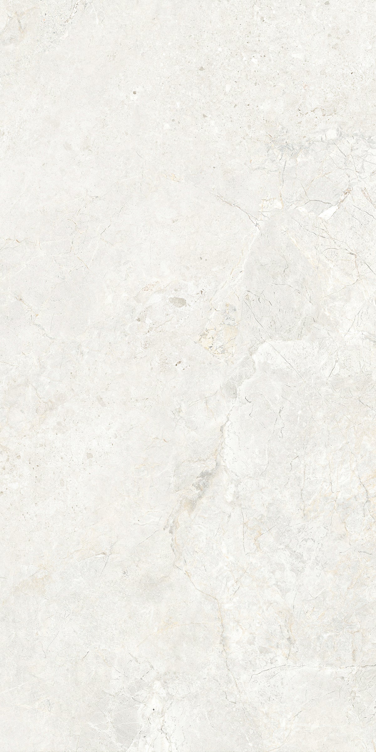 CHABLIS 600x1200