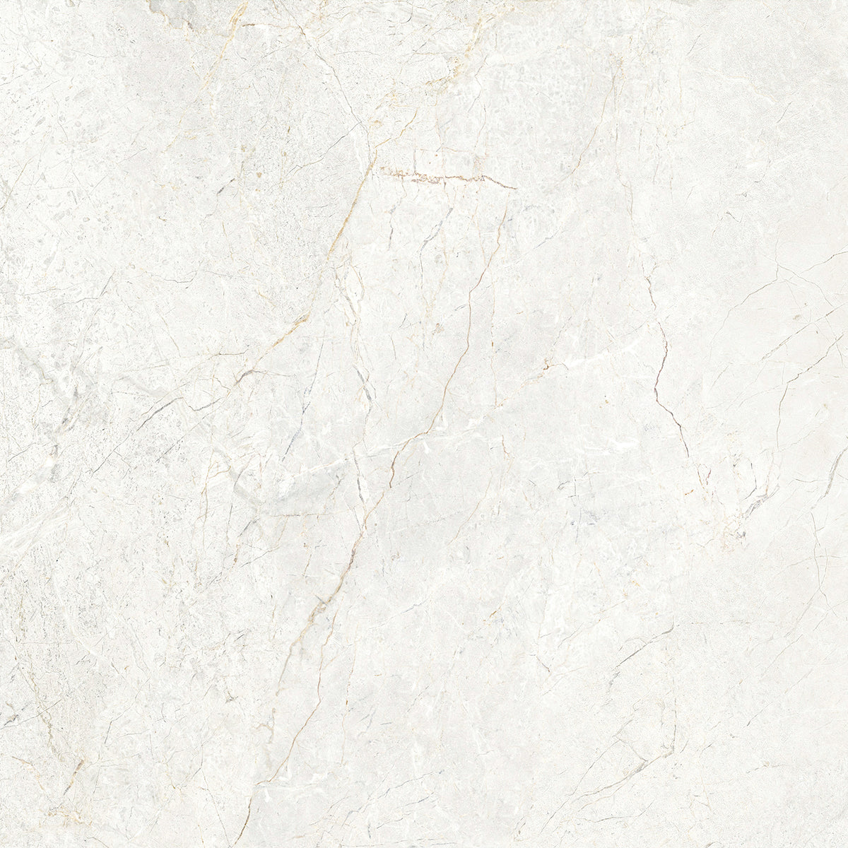 CHABLIS 600x600