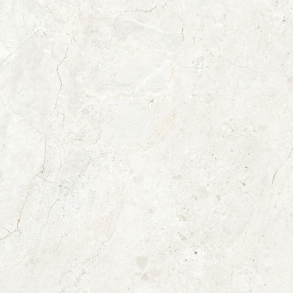 CHABLIS 600x600