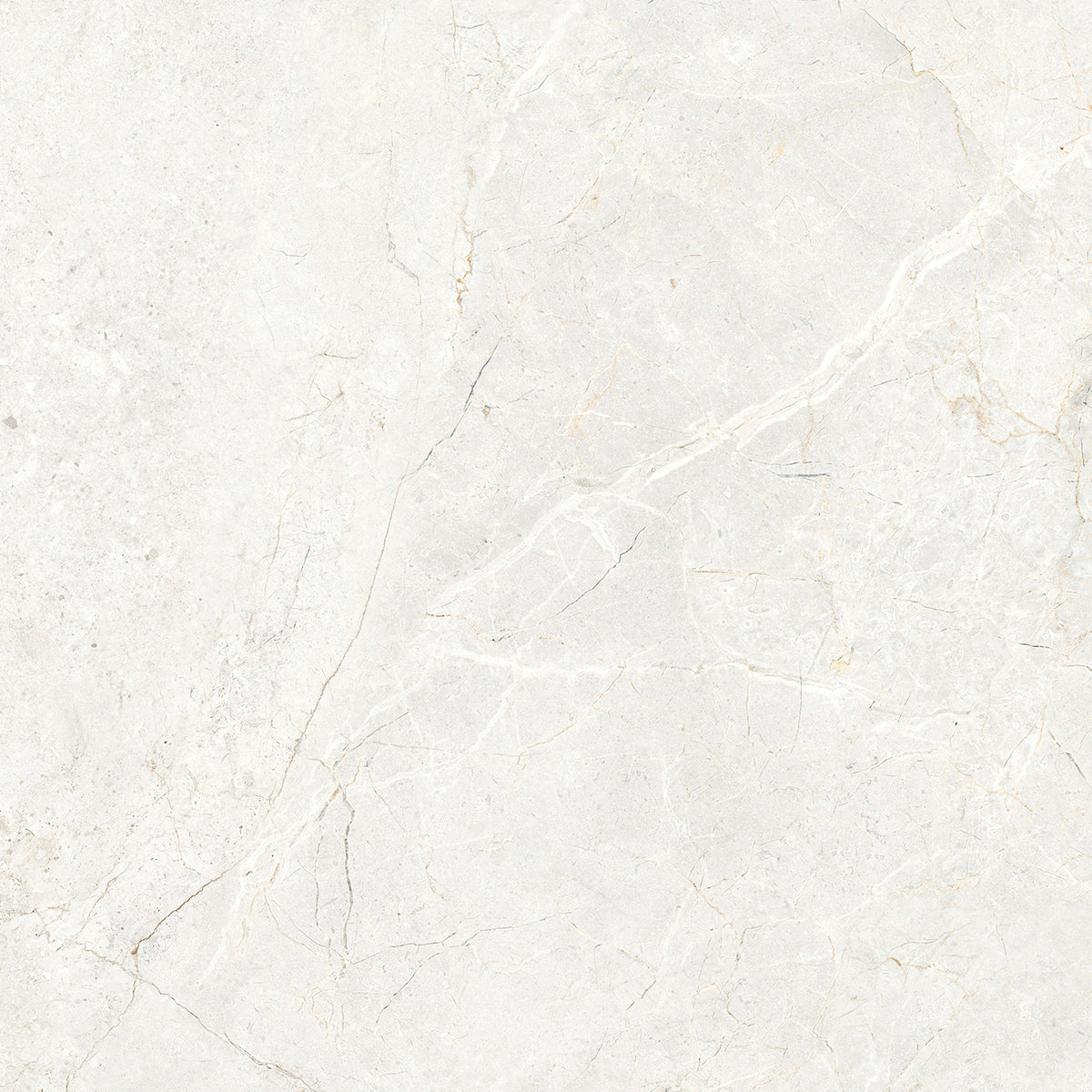 CHABLIS 600x600