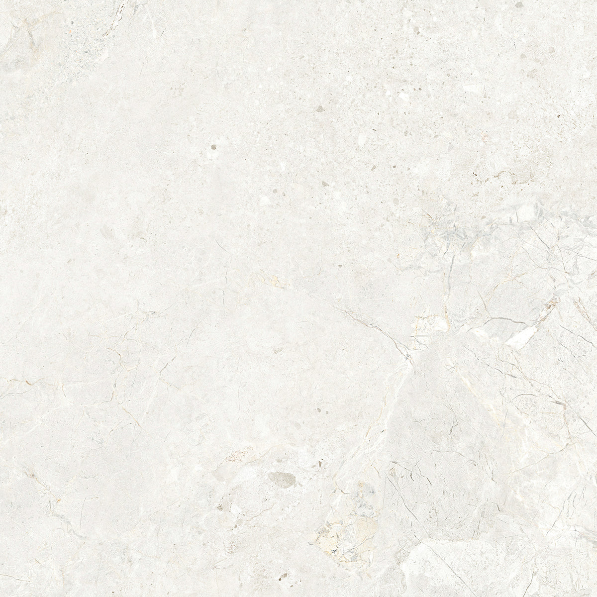CHABLIS 600x600