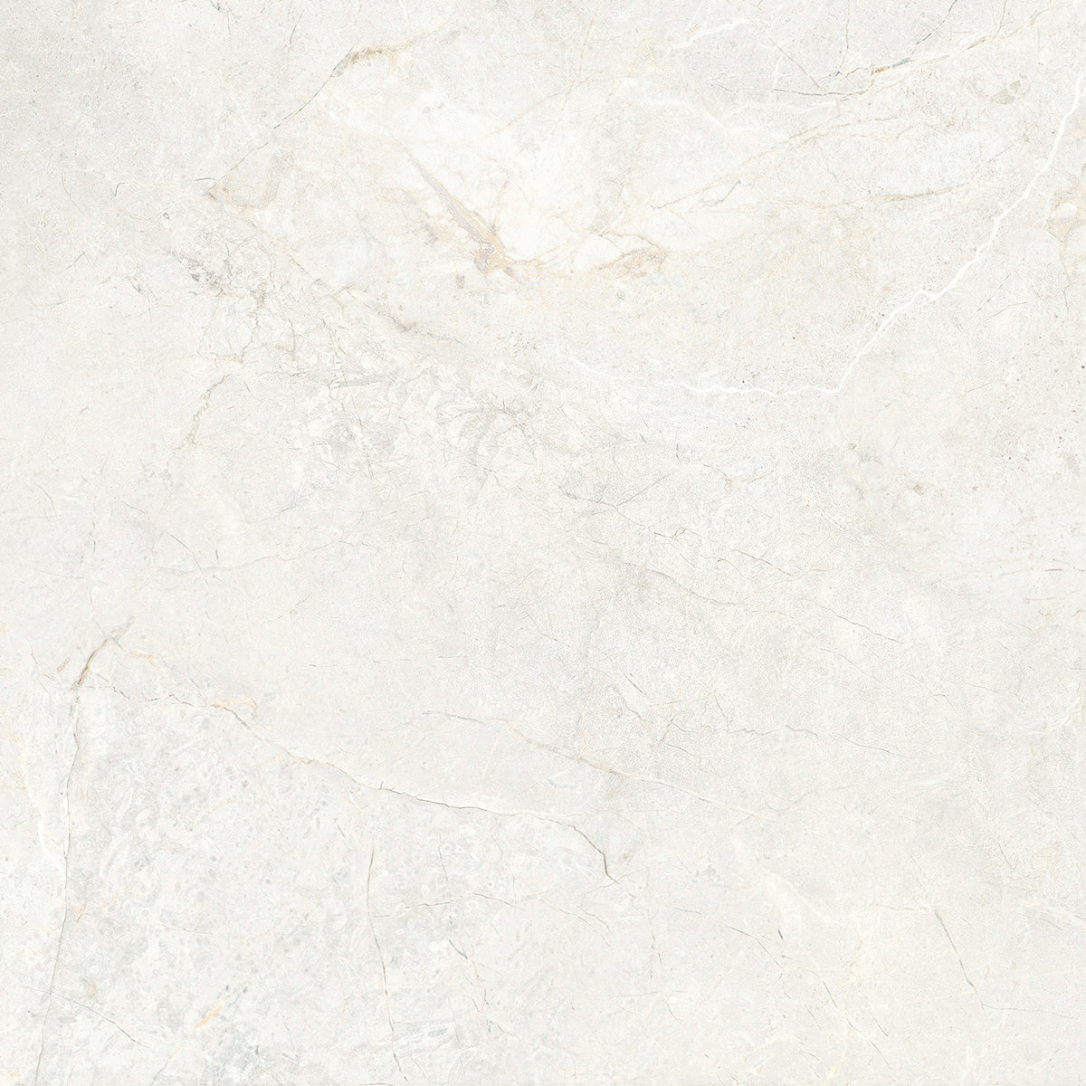 CHABLIS 600x600