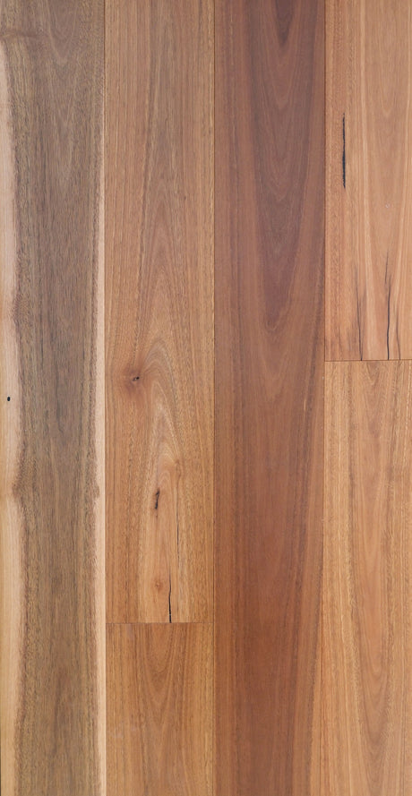 Maywood Bushland Spotted Gum engineered flooring