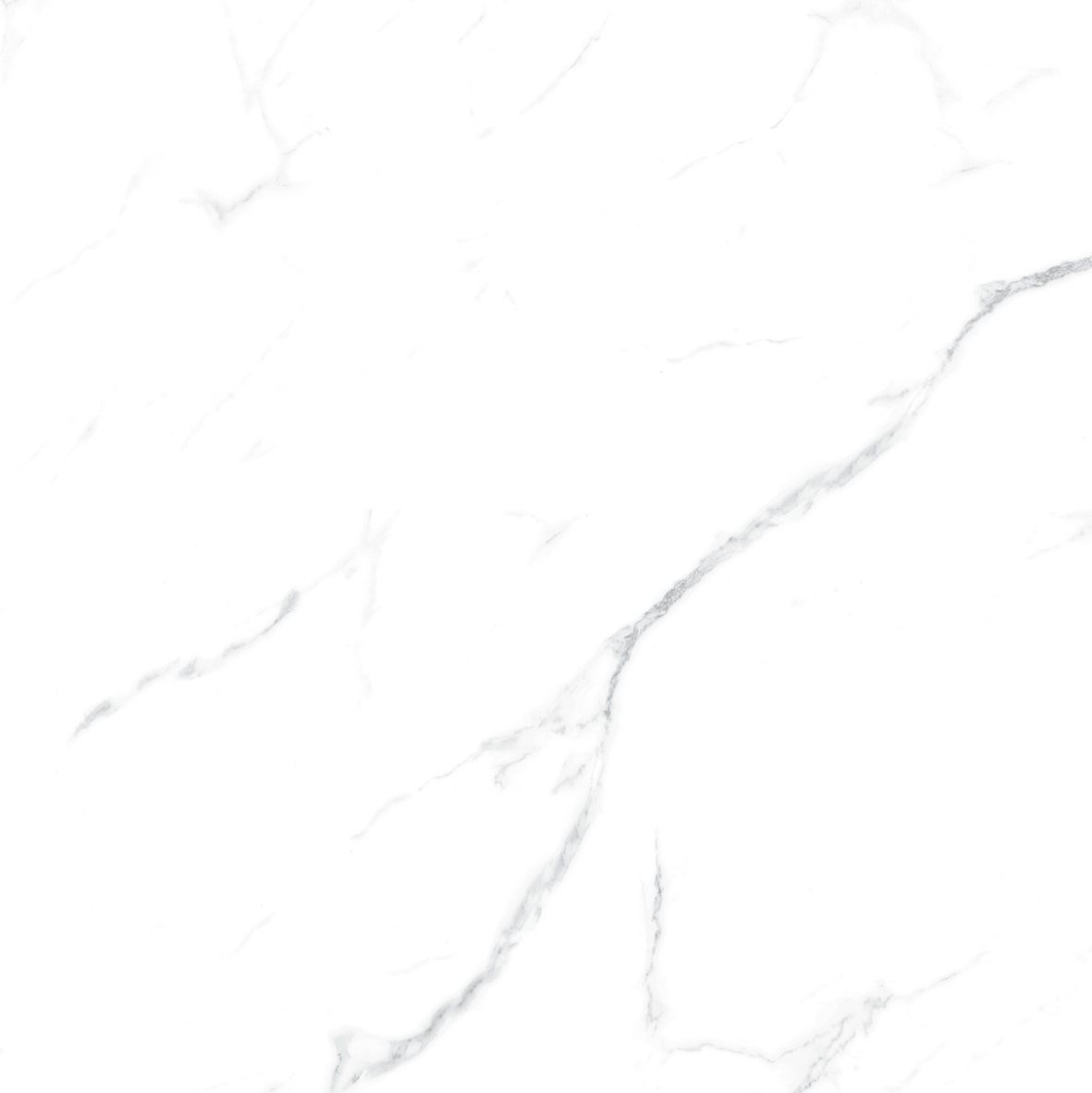 CARRARA MATT 634 600x600