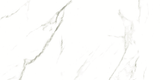 CARRARA MATT 634 300x600
