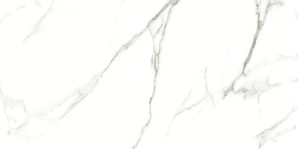 CARRARA MATT 634 300x600