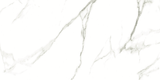 CARRARA MATT 634 300x600