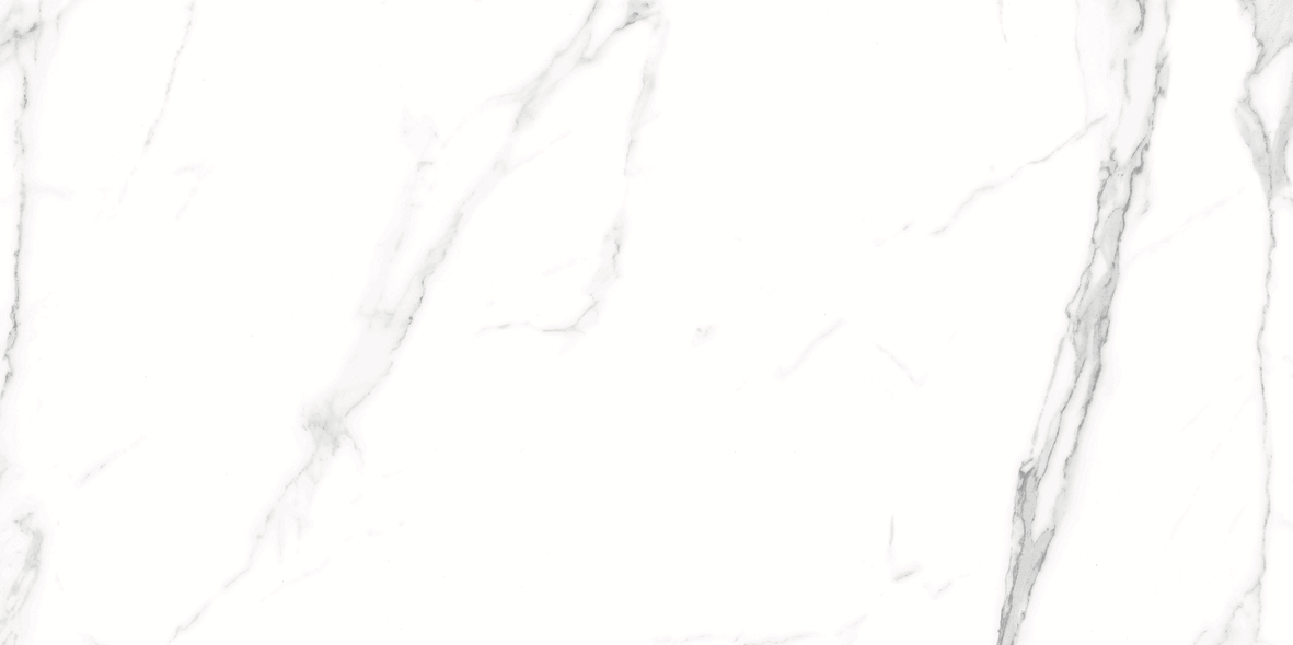 CARRARA MATT 634 300x600