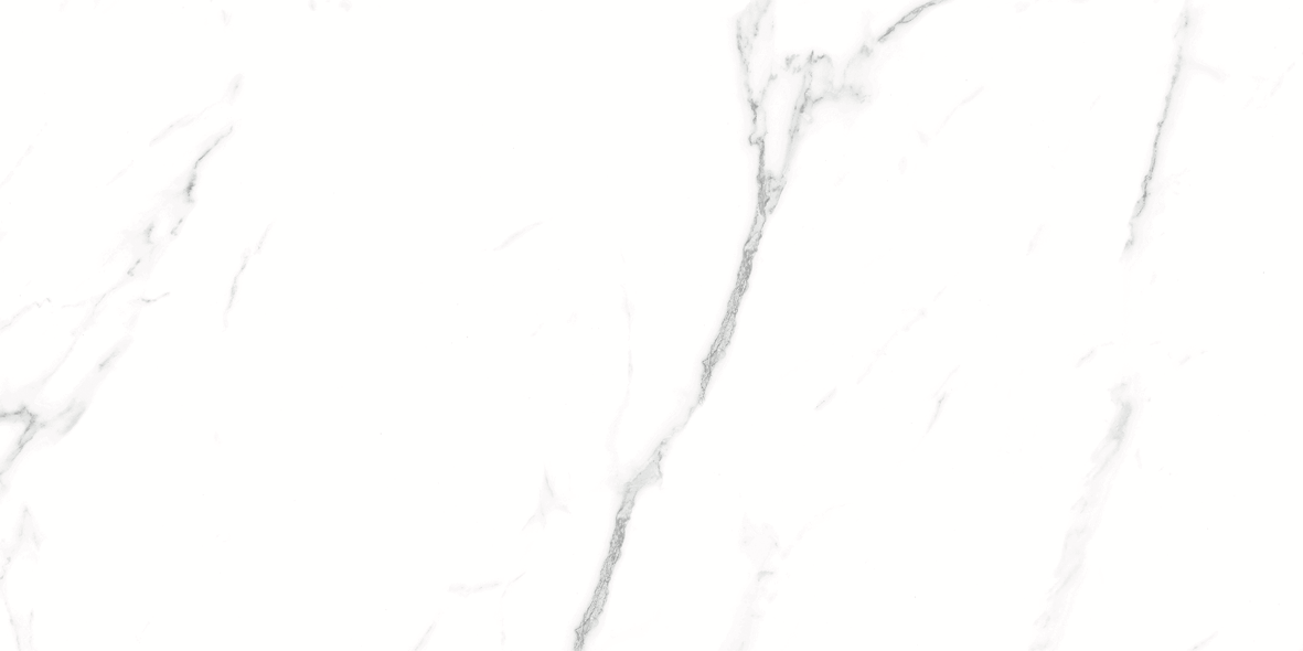 CARRARA MATT 634 300x600