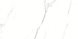 CARRARA MATT 634 300x600