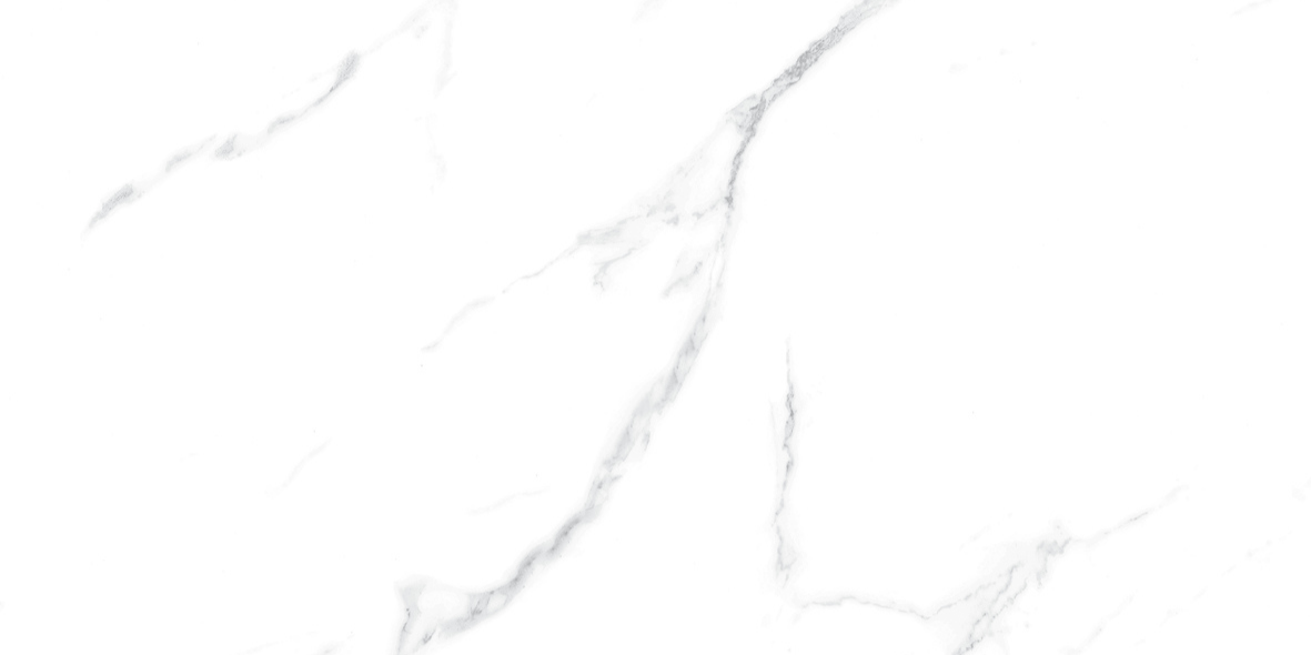 CARRARA MATT 634 300x600