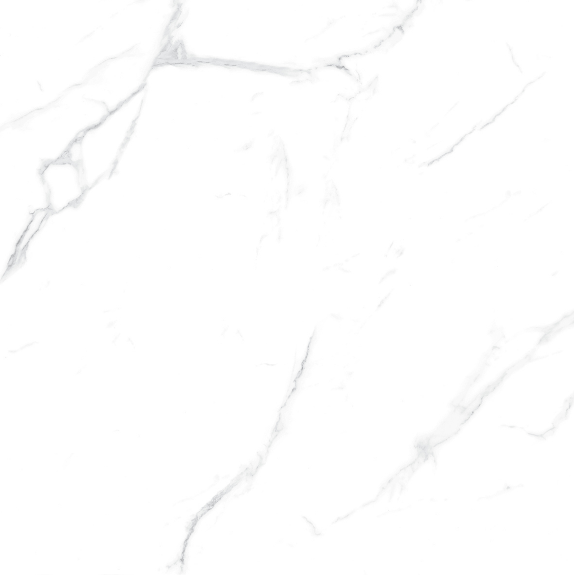 CARRARA MATT 634 600x600