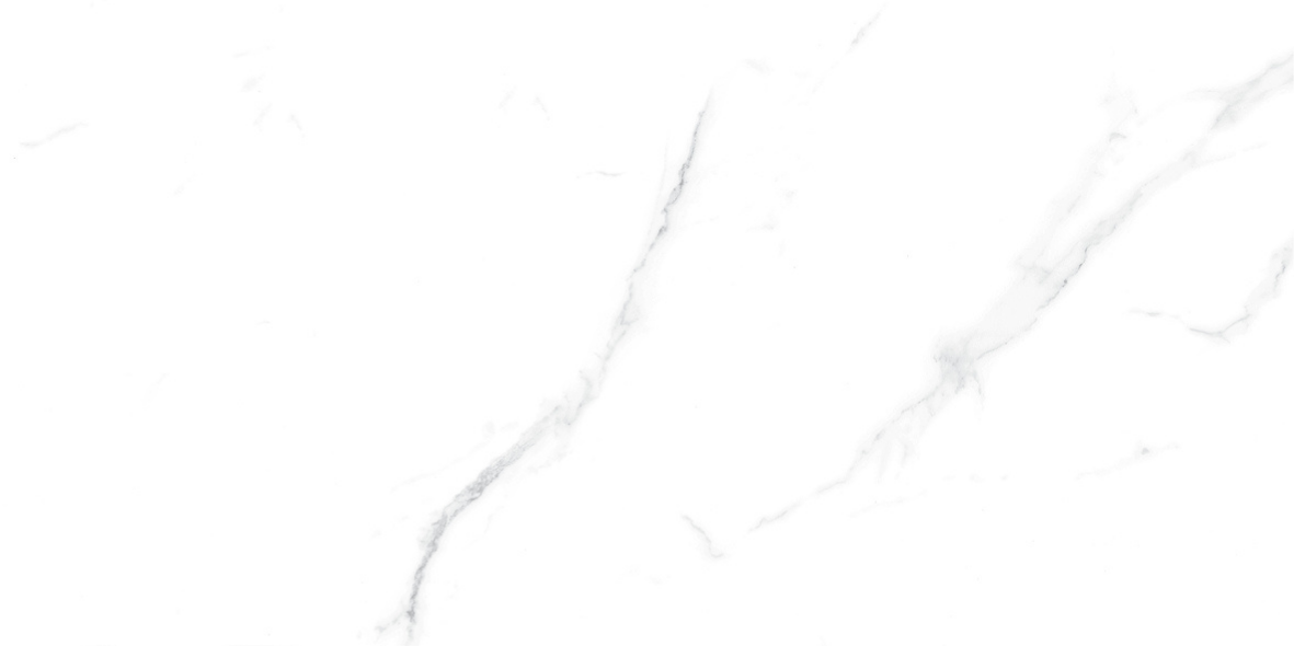 CARRARA MATT 634 300x600