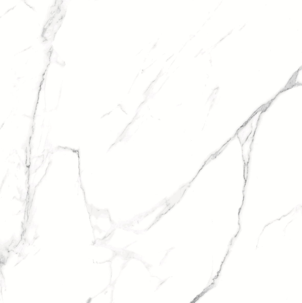 CARRARA MATT 634 600x600