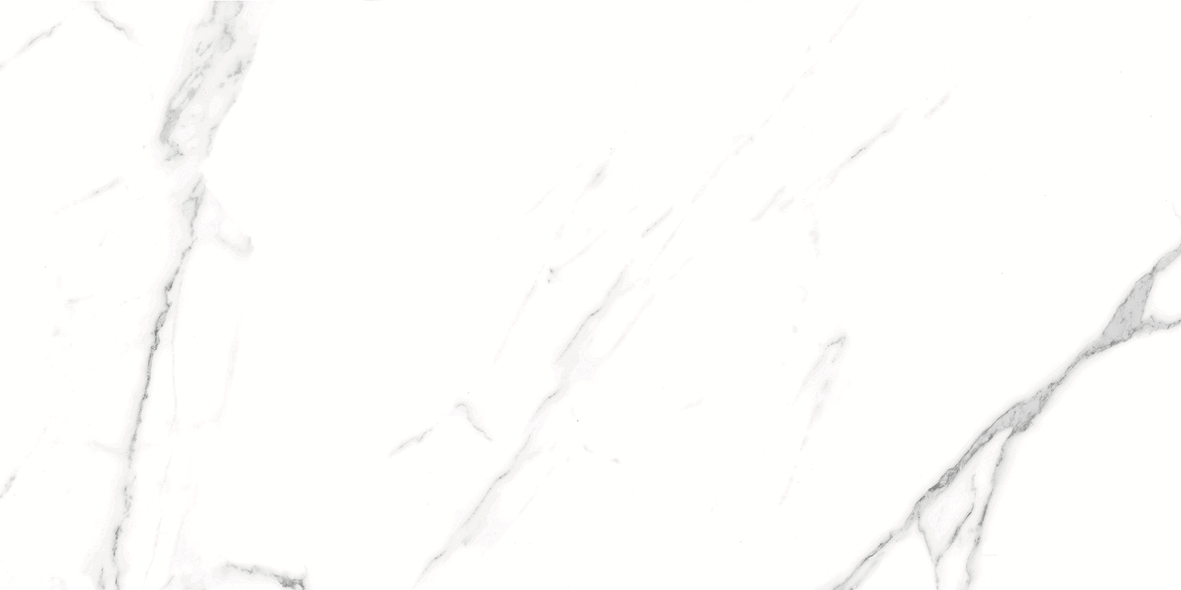 CARRARA MATT 634 300x600