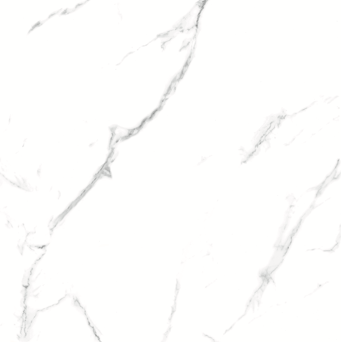CARRARA MATT 634 600x600