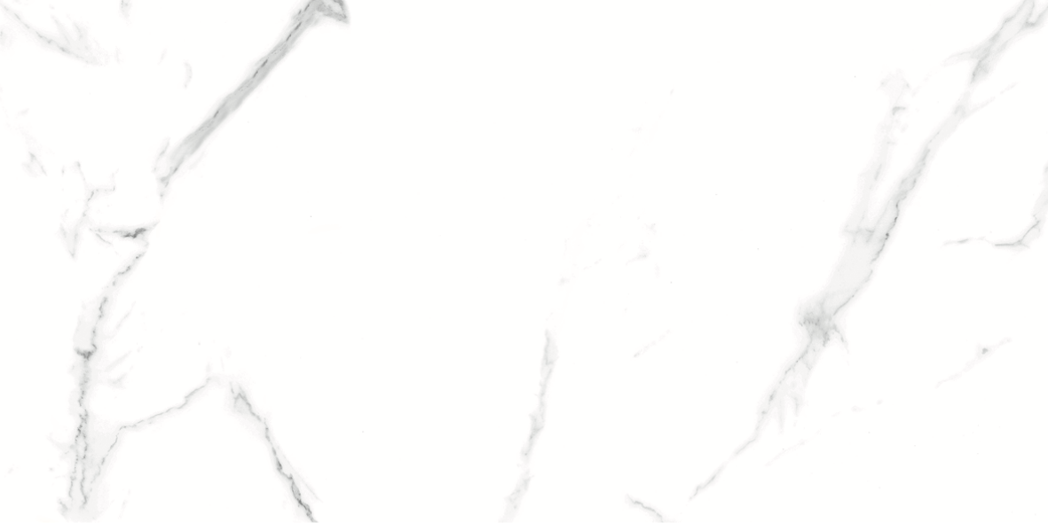 CARRARA MATT 634 300x600