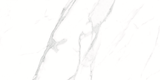 CARRARA MATT 634 300x600