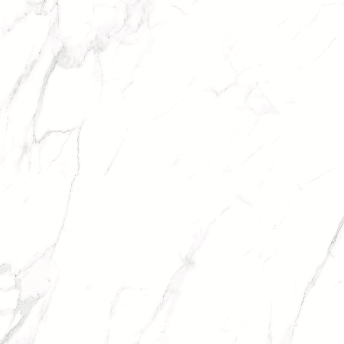 CARRARA MATT 634 600x600