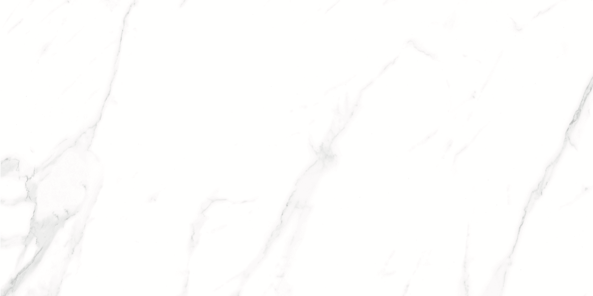 CARRARA MATT 634 300x600