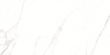CARRARA MATT 634 300x600