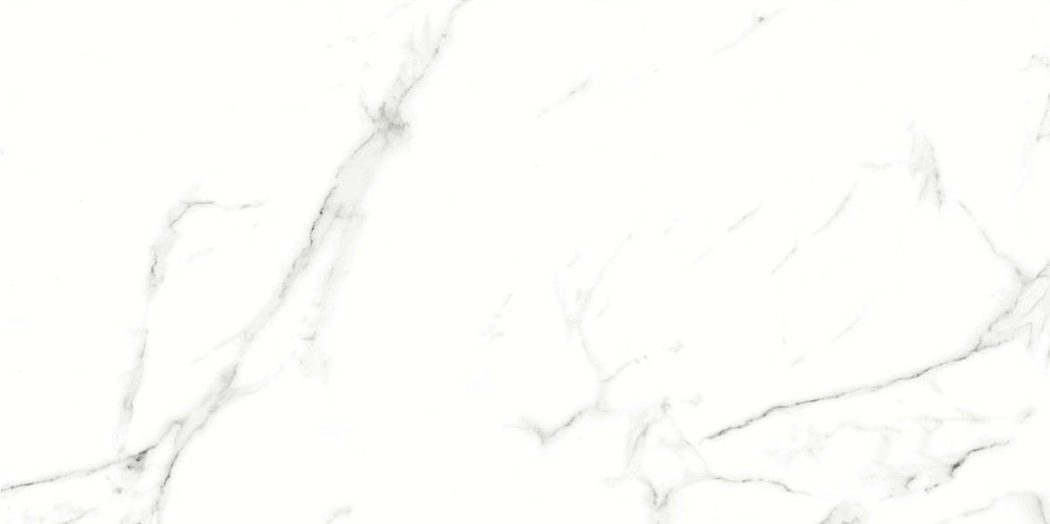CARRARA MATT 634 300x600