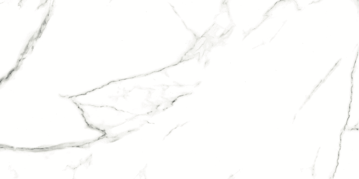 CARRARA MATT 634 300x600