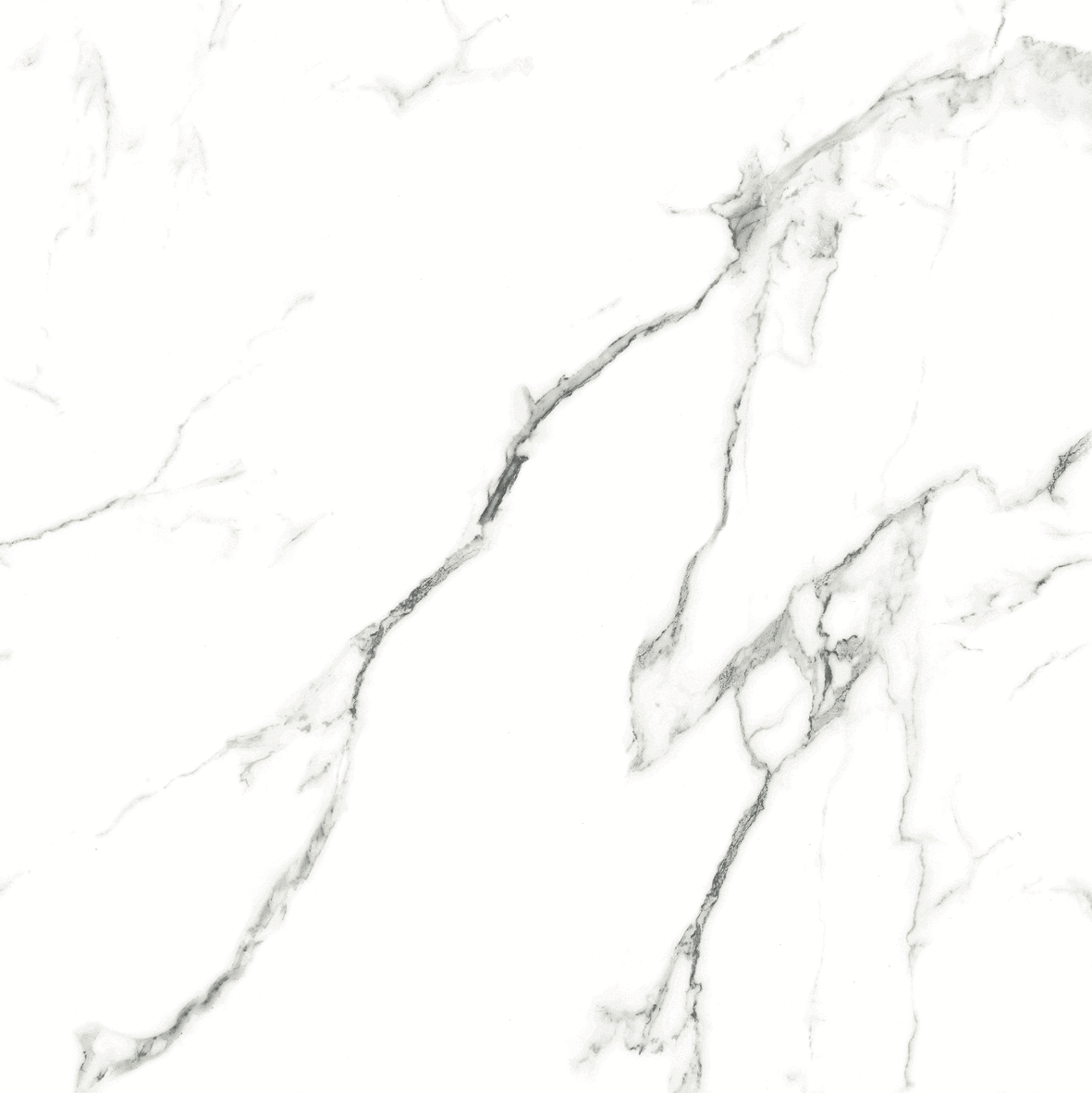 CARRARA MATT 634 600x600