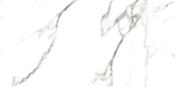 CARRARA MATT 634 300x600