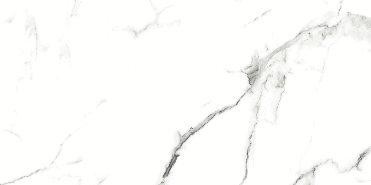 CARRARA MATT 634 300x600